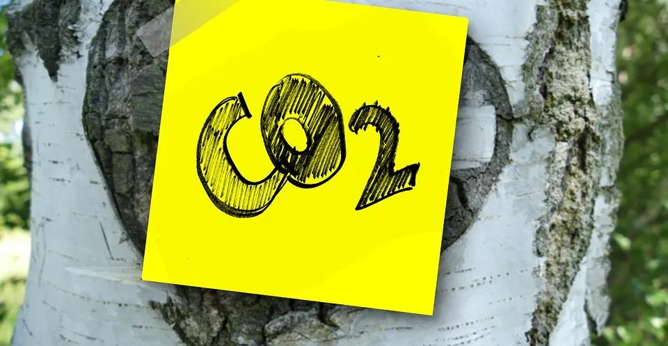 co2
