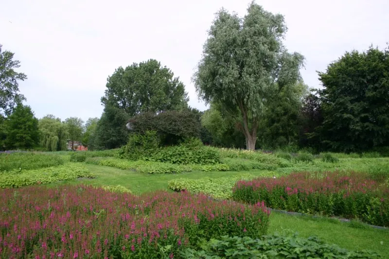 darwin moerastuin3