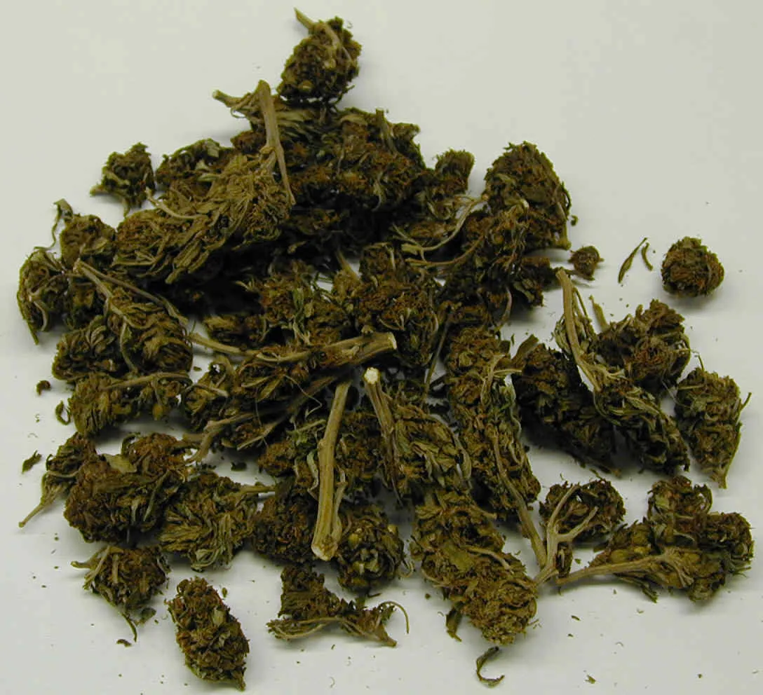 dea mar loose