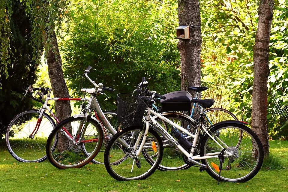 fietsen