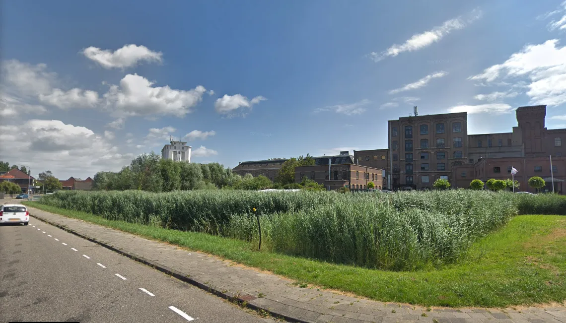 groenstrook