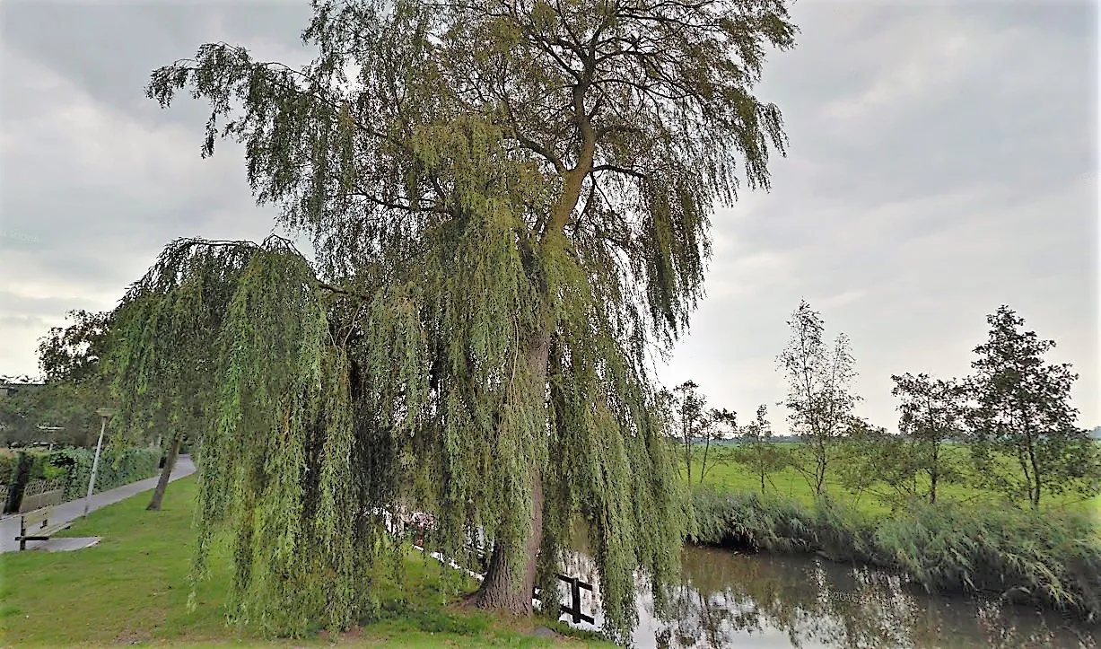 haanslot1