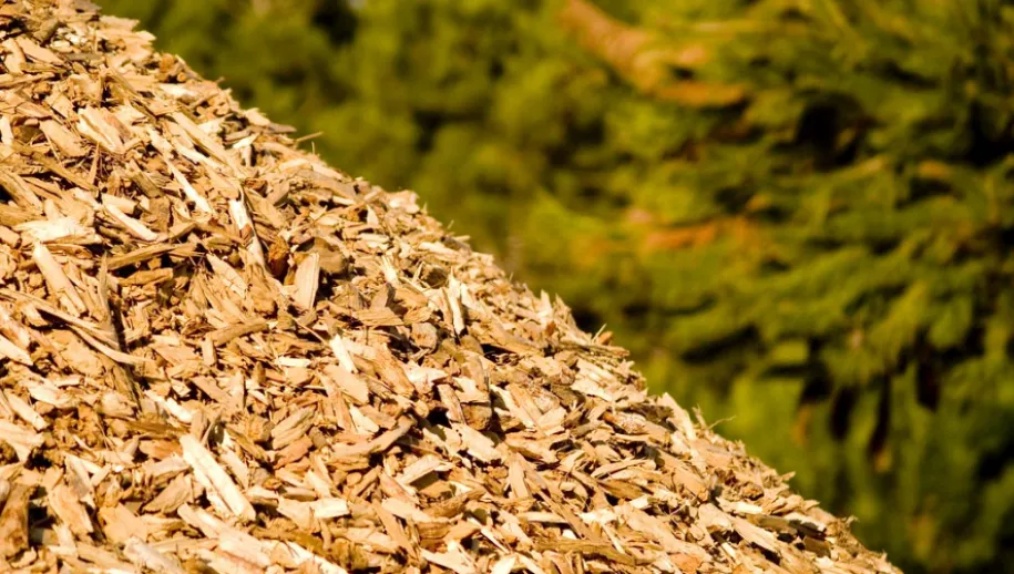 hout biomassacentrale