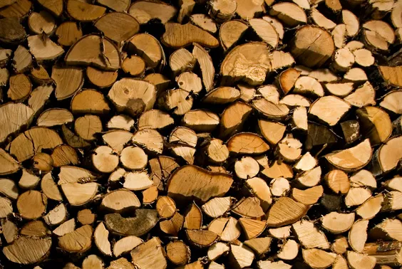 hout
