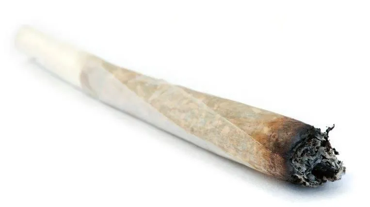 joint