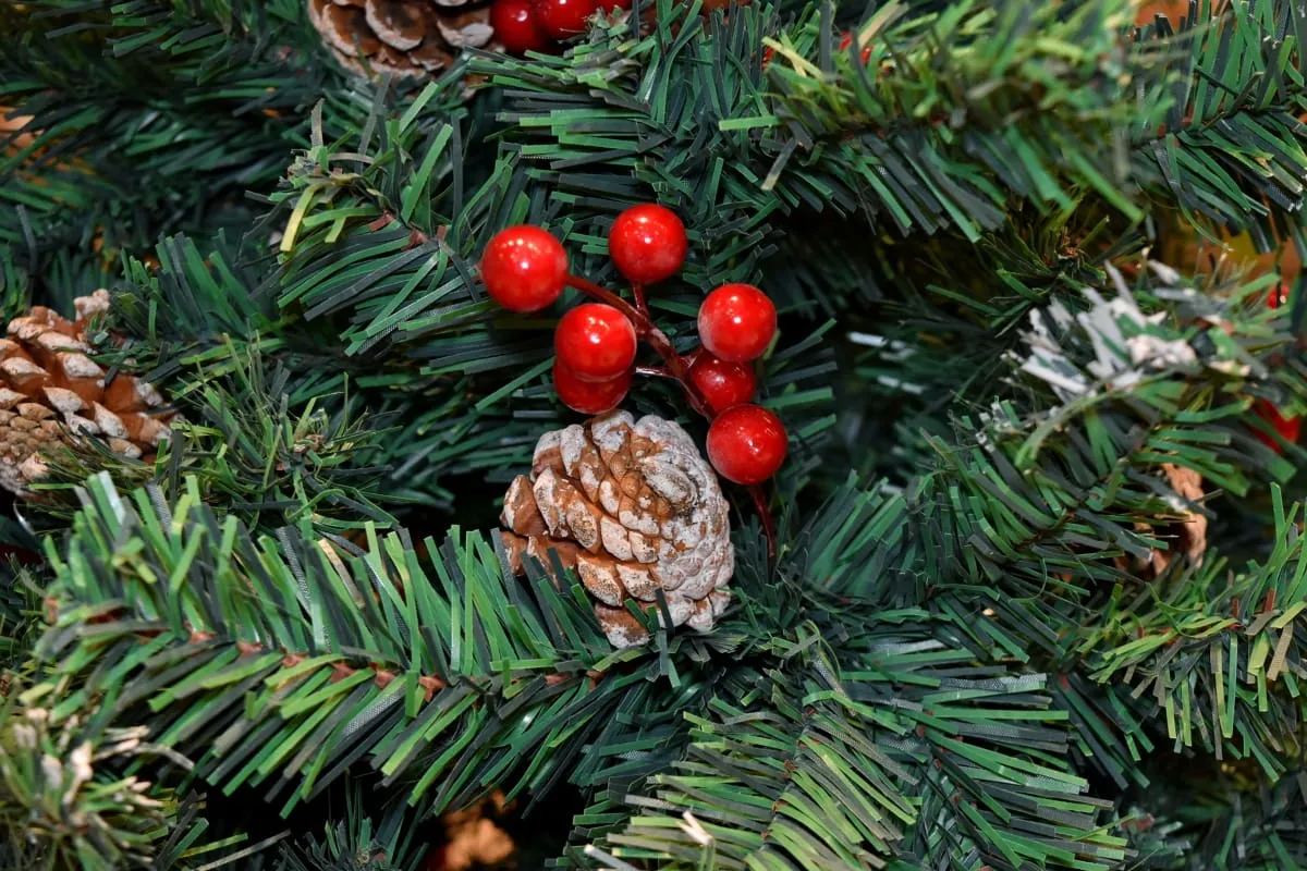 kerstnoom 2