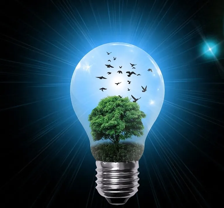 lamp