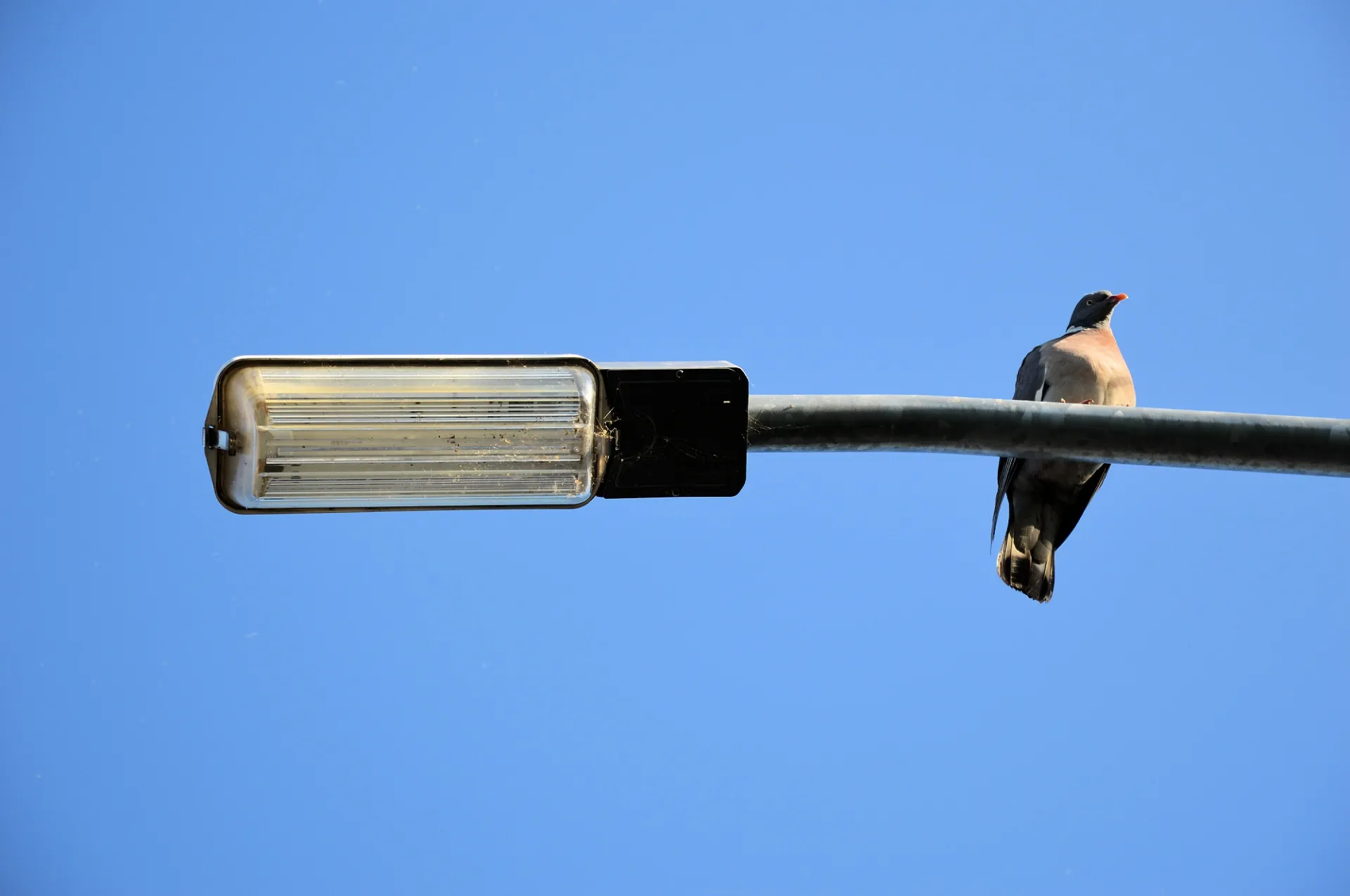 lantaarnpaal pblic domain pictures