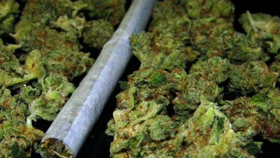 marihuana 915x518 1