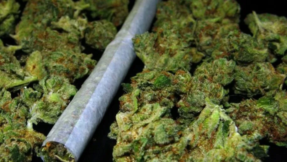 marihuana 915x518 1
