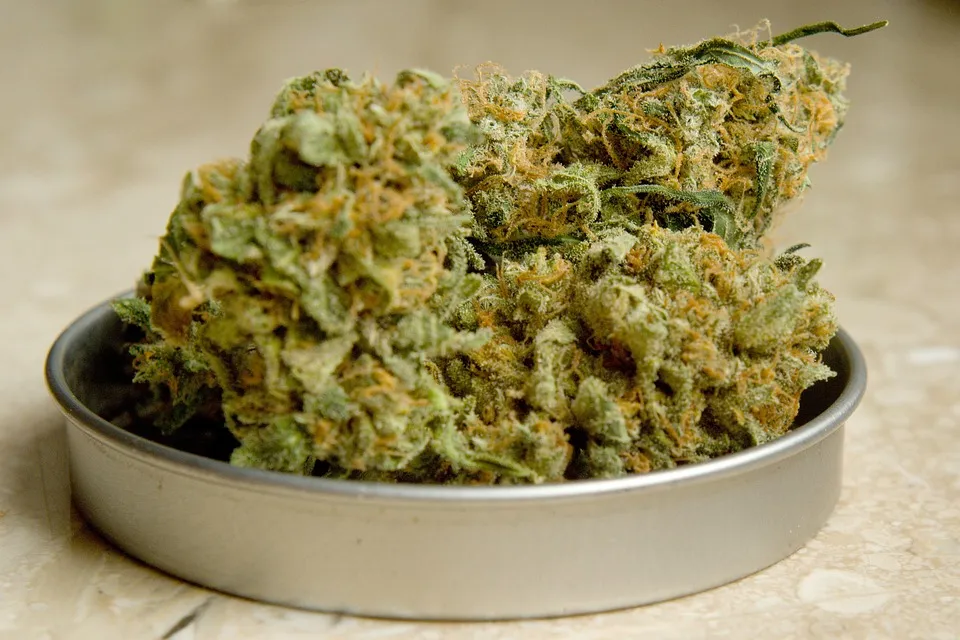 marihuana vandaag