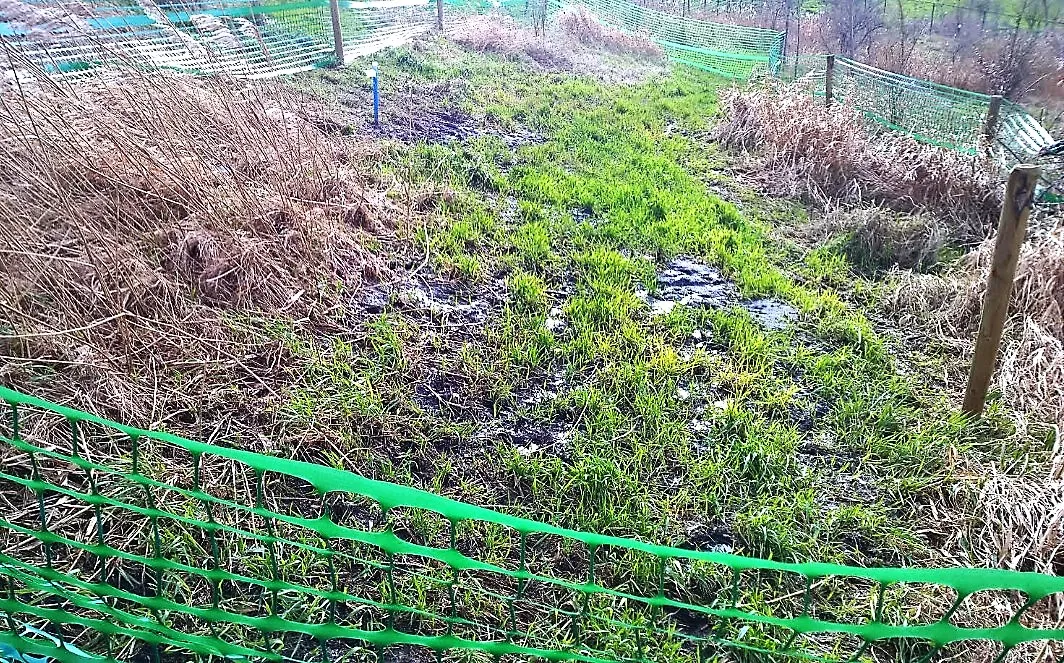nauerna nieuw1