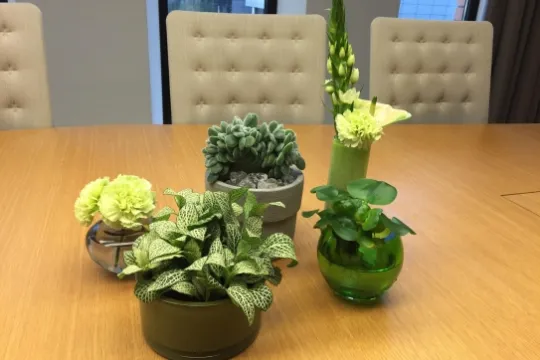 planten