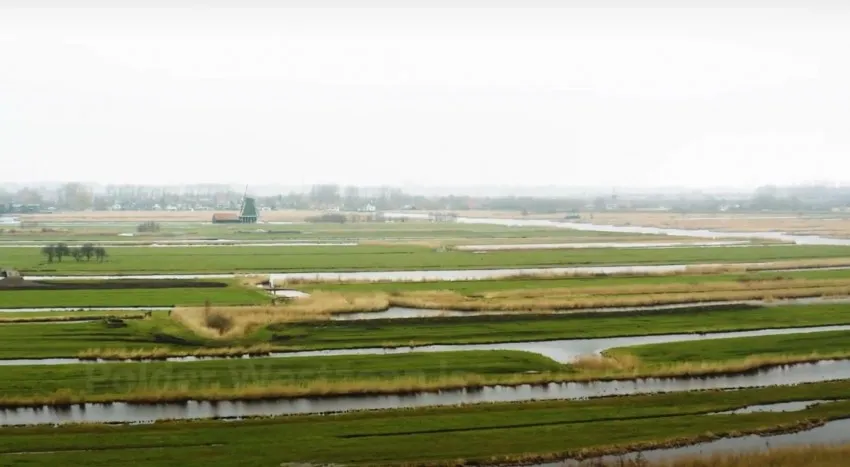 polder westzaan