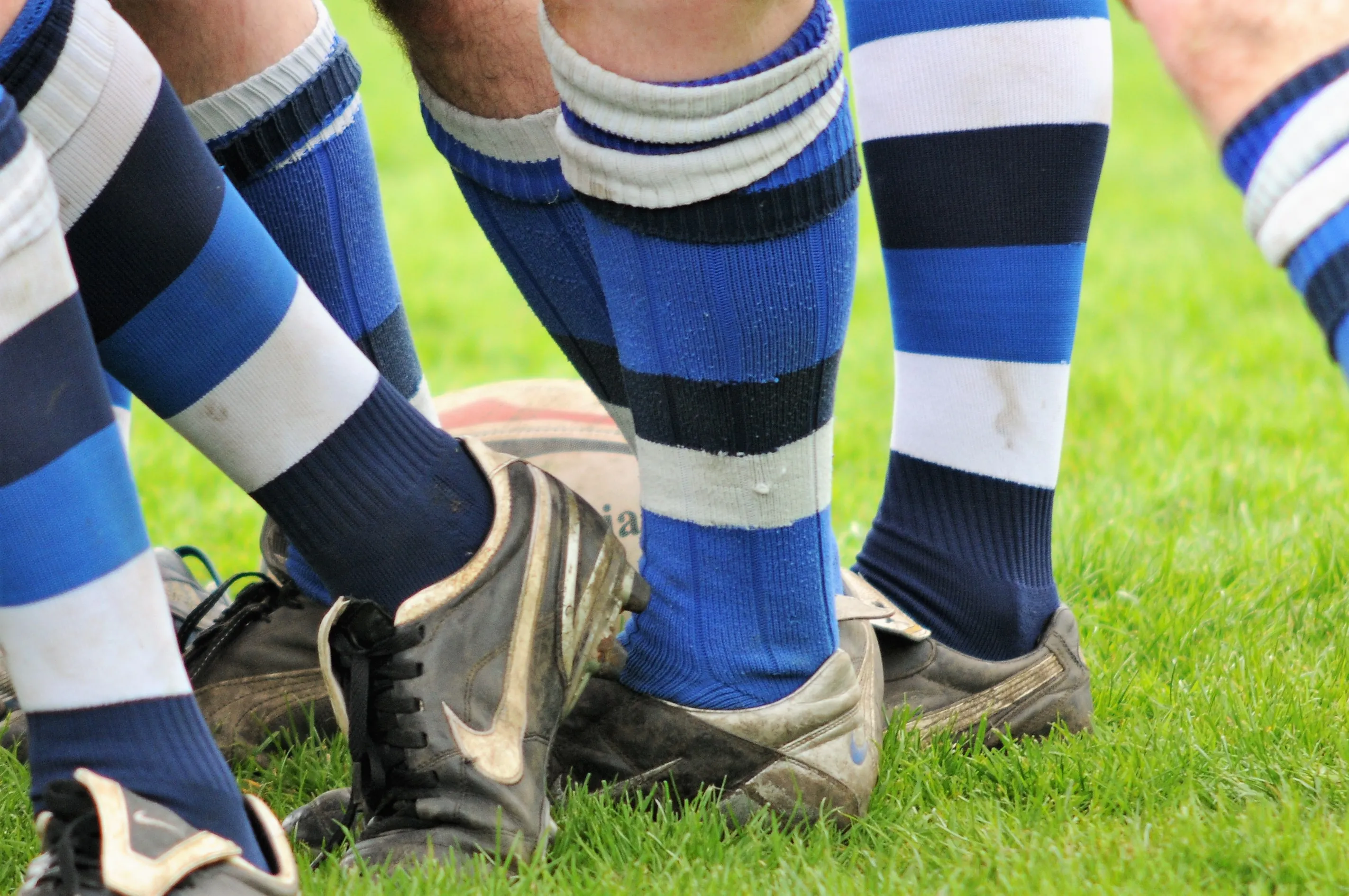 rugby socks