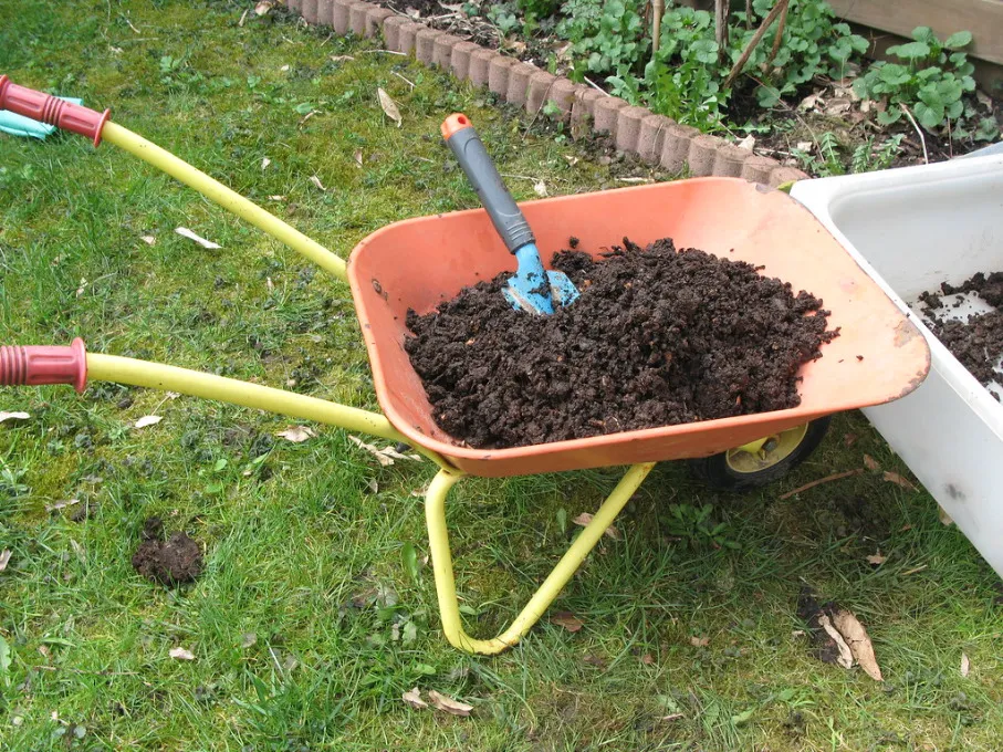 screenshot 2019 06 03 compost after sieving