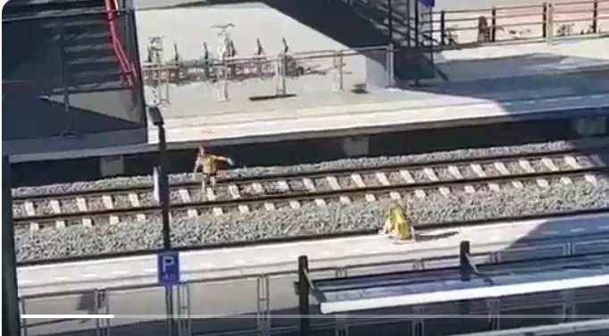 screenshot 2019 06 23 stephan van loon op twitter levensgevaarlijke actie van deze kinderen vanmiddag doe dit alsjeblieft n