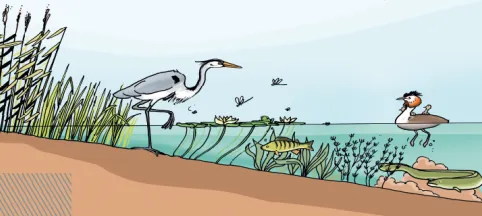 screenshot 20190720 085758