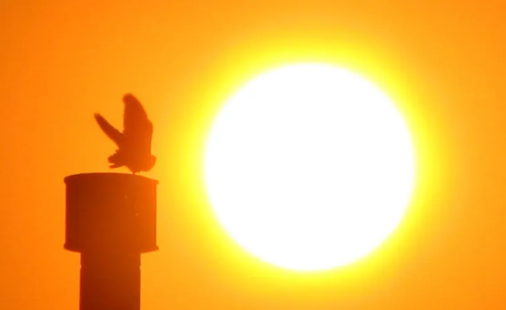 screenshot 20190723 2138141