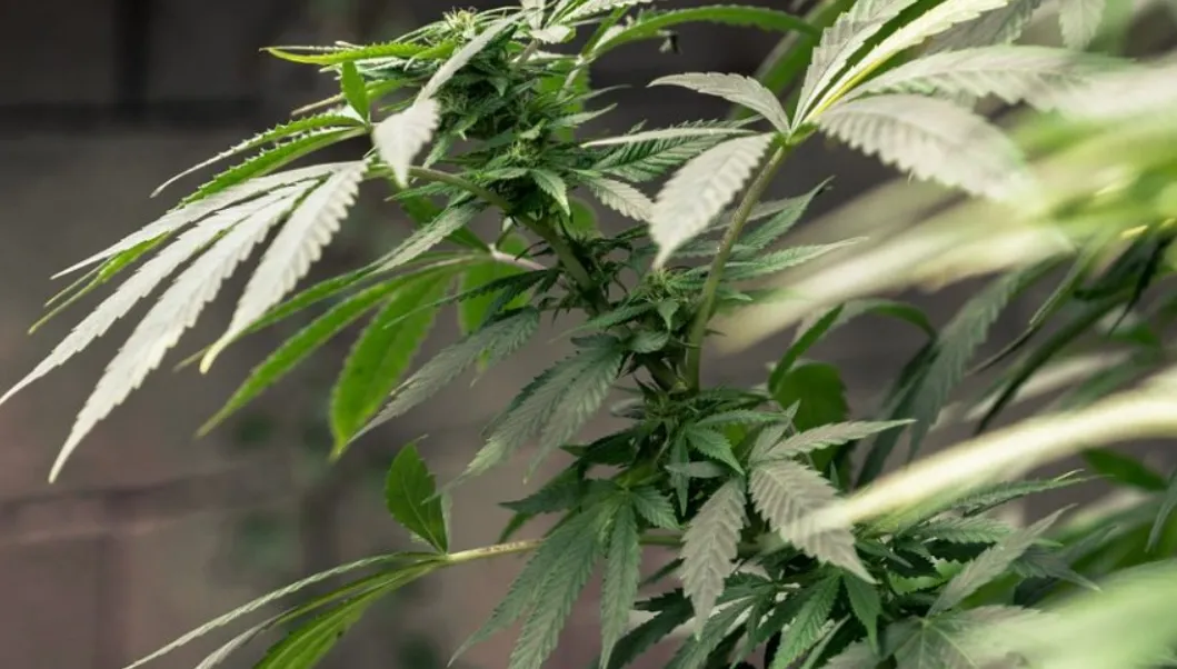 screenshot 20190920 141633