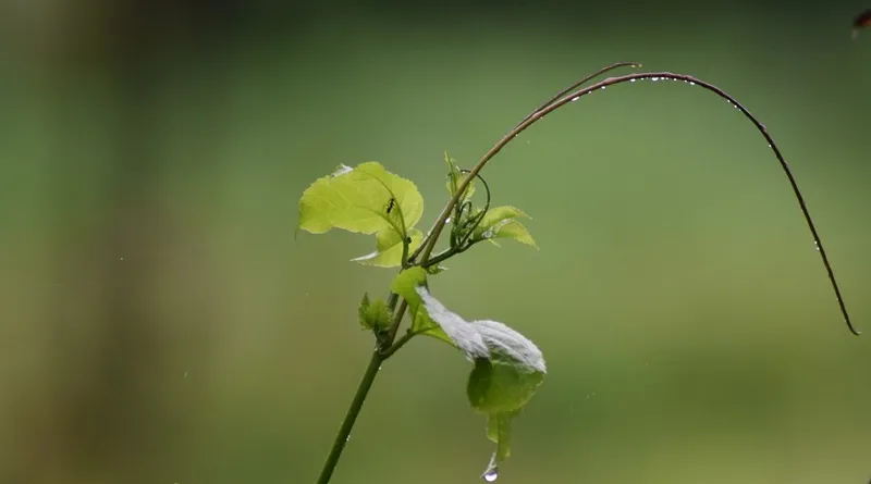 screenshot 20191006 143622