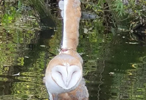 screenshot 20191028 120500