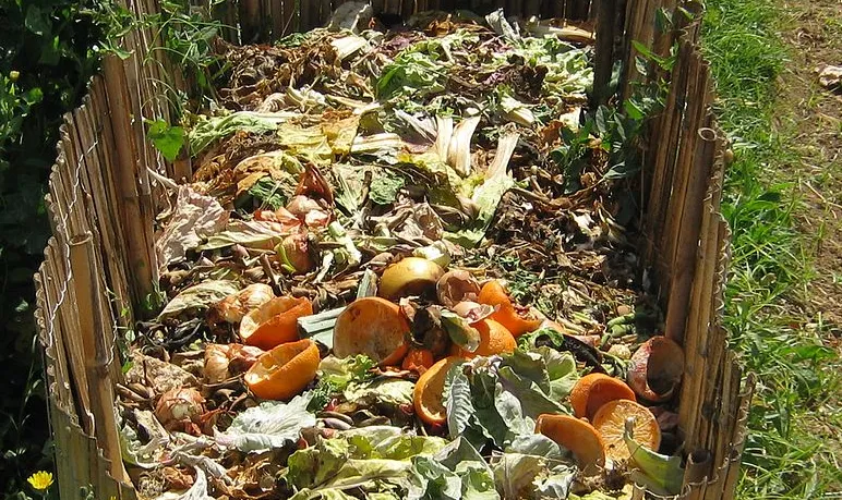 screenshot 20191029 104334