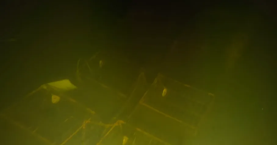 screenshot 20191103 072719