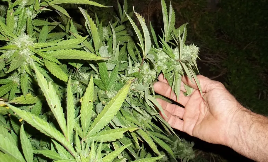 screenshot 20191104 155938