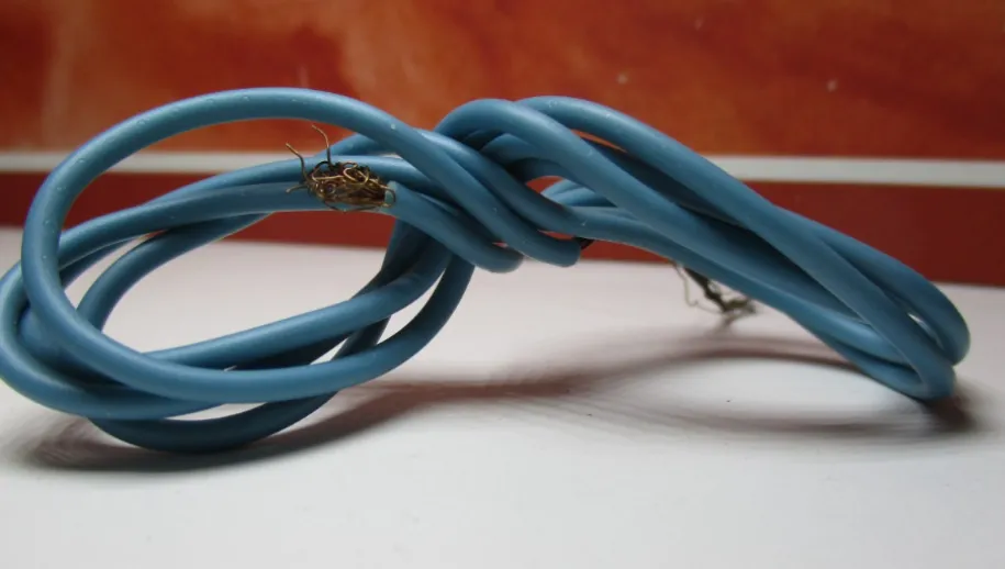 screenshot 20191105 125110 915x518 1 915x518 1