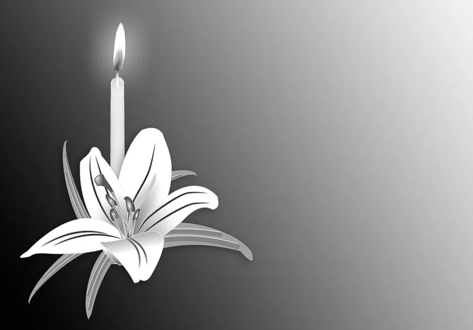 screenshot 20191111 063357