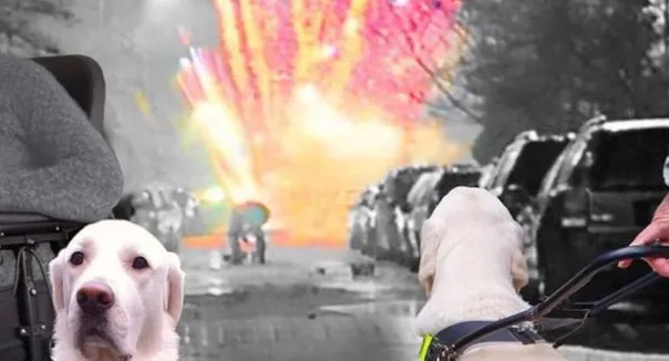 screenshot 20191210 133440