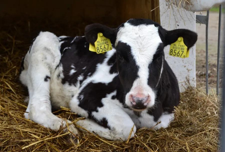 screenshot 20191223 150323