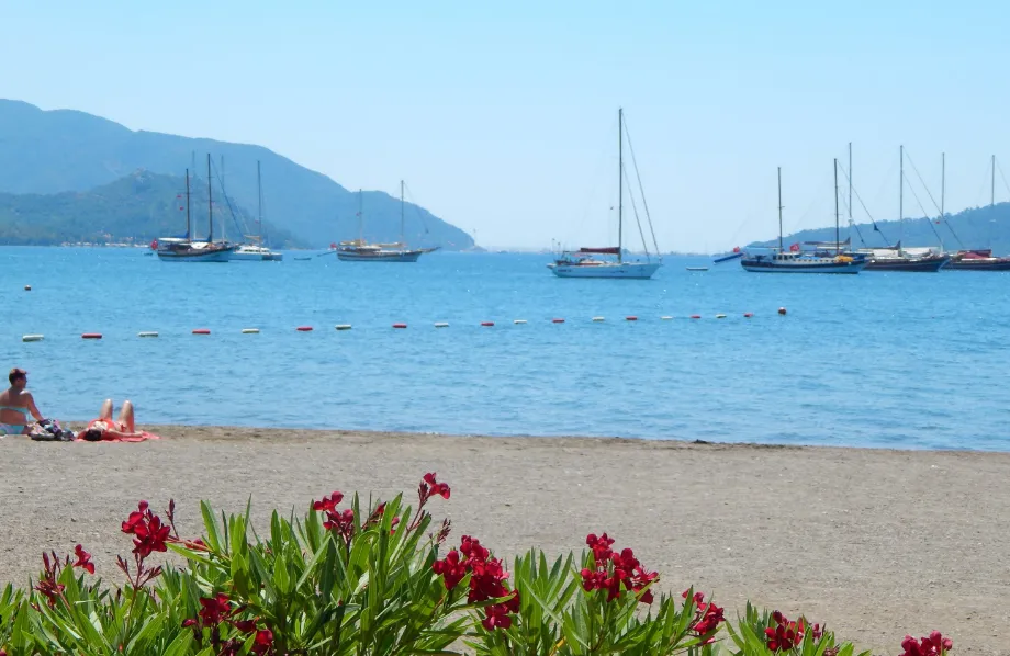 screenshot 20191224 150200