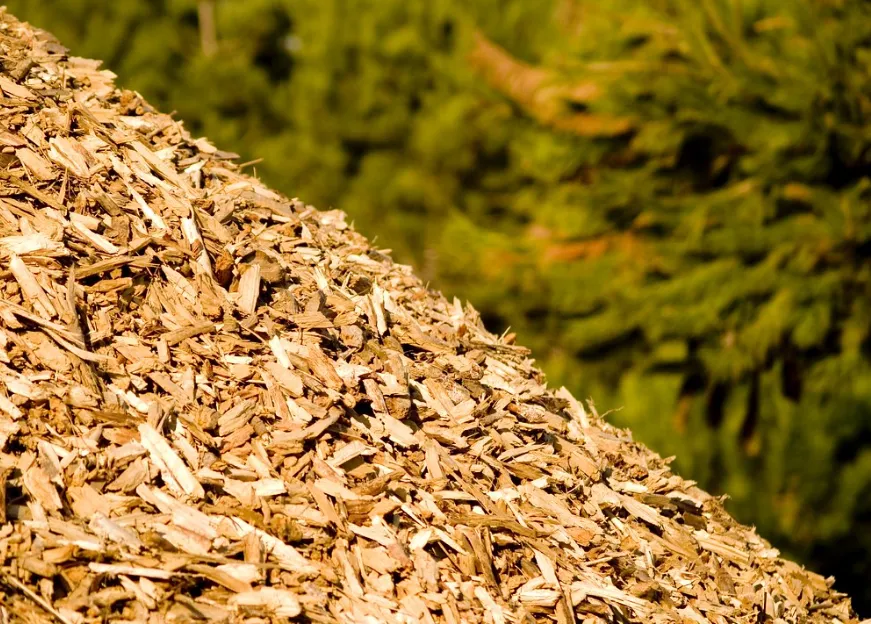 screenshot 20200109 064722