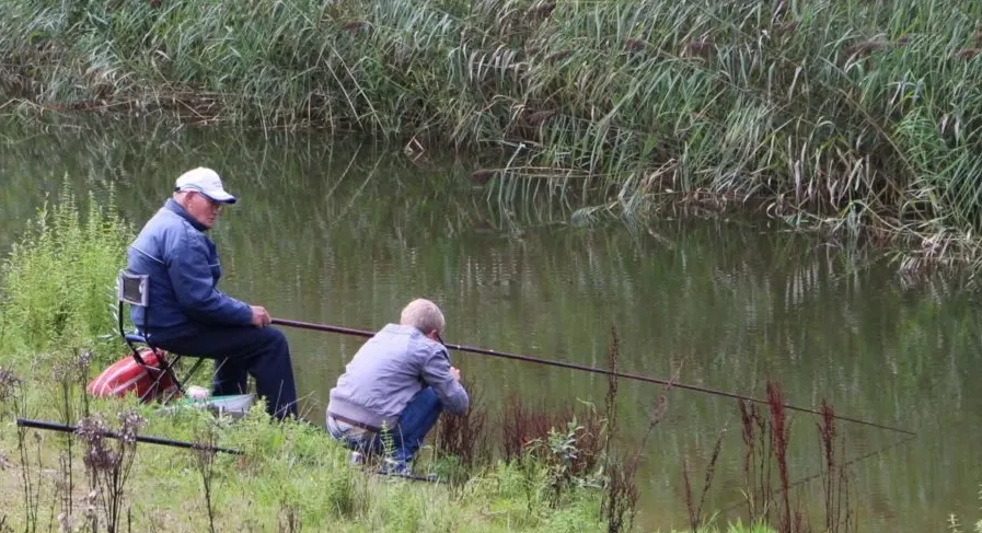 screenshot 20200204 152505