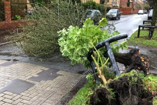 screenshot 20200209 115733