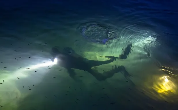 screenshot 20200224 091008