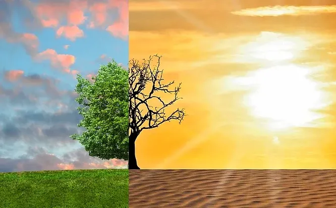 screenshot 20200303 104030