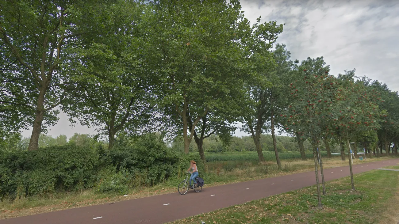 screenshot 20200310 111841