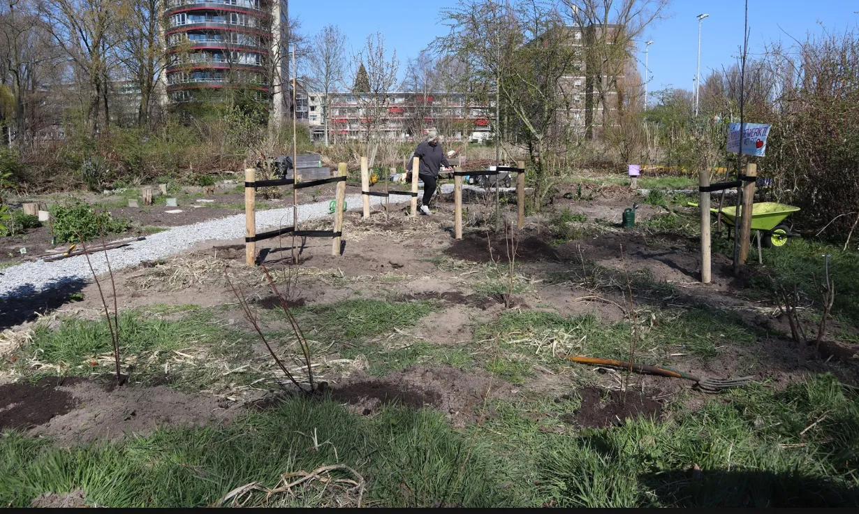 screenshot 20200401 154751