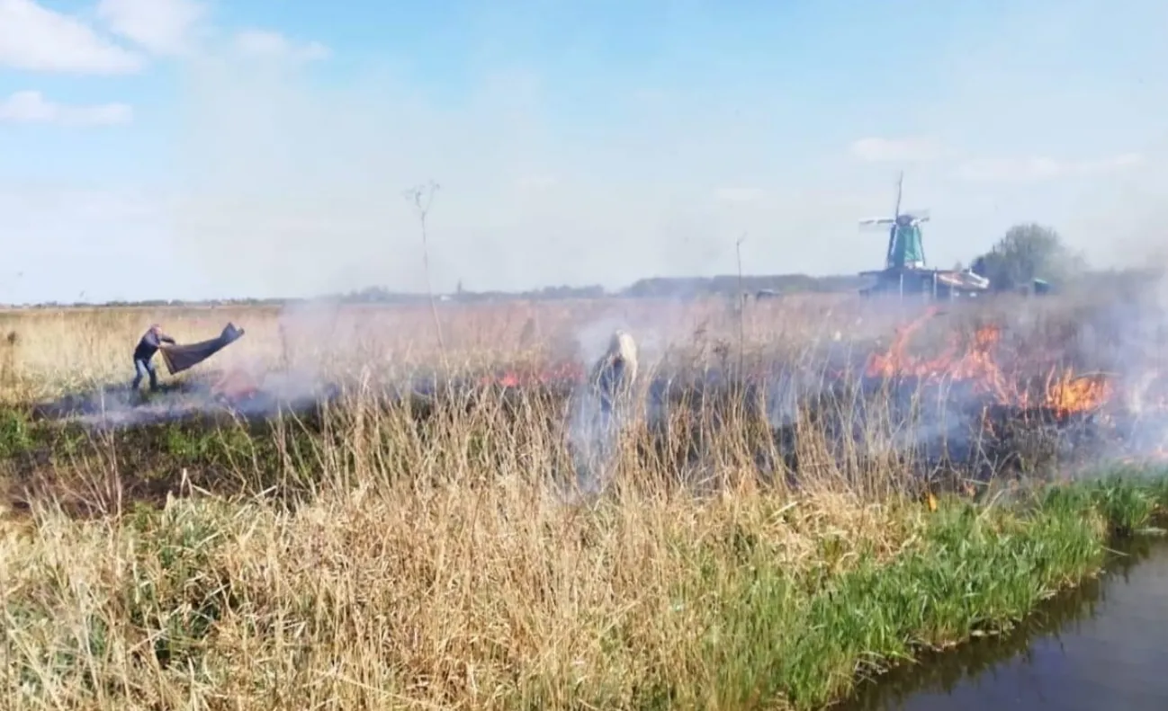 screenshot 20200414 101405