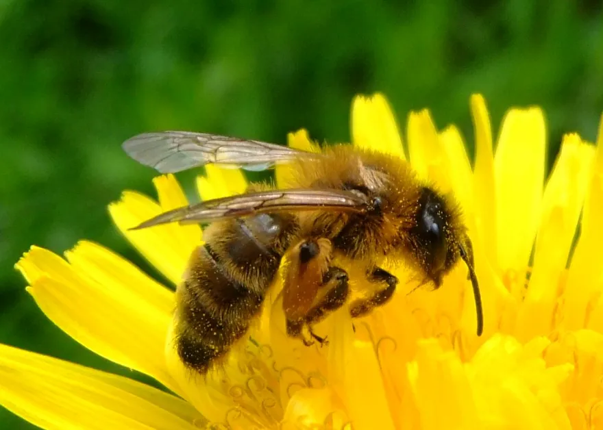 screenshot 20200417 175821