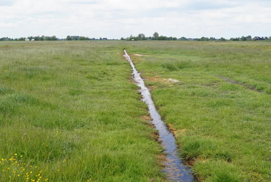 screenshot 20200611 174853