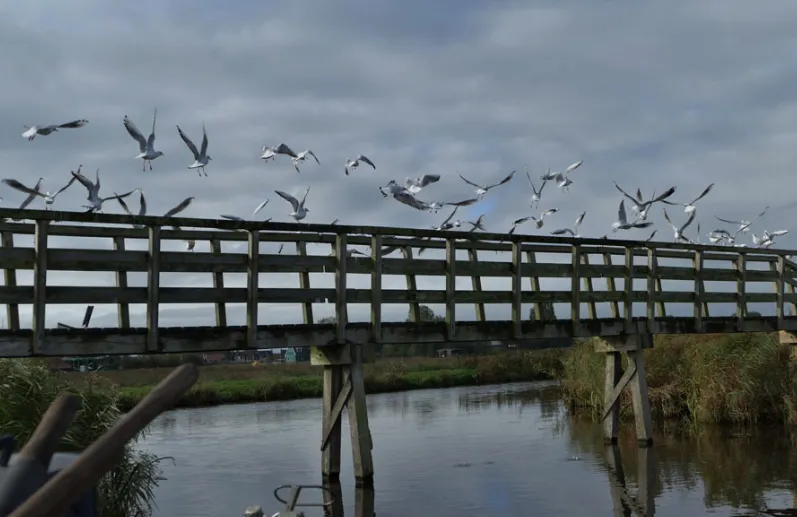 screenshot 20200622 175417