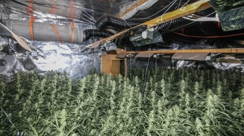 screenshot 20200705 110217