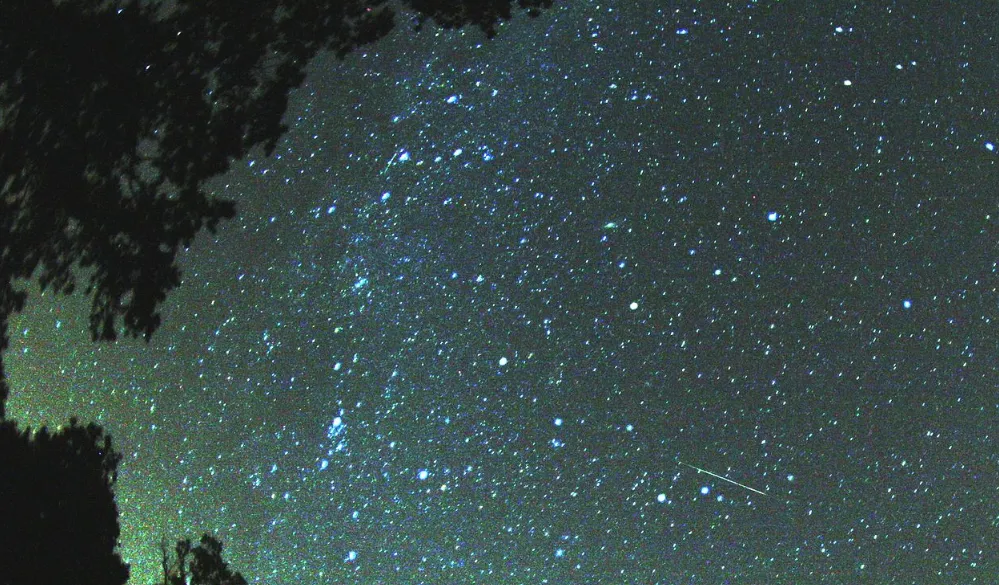 screenshot 20200811 112911