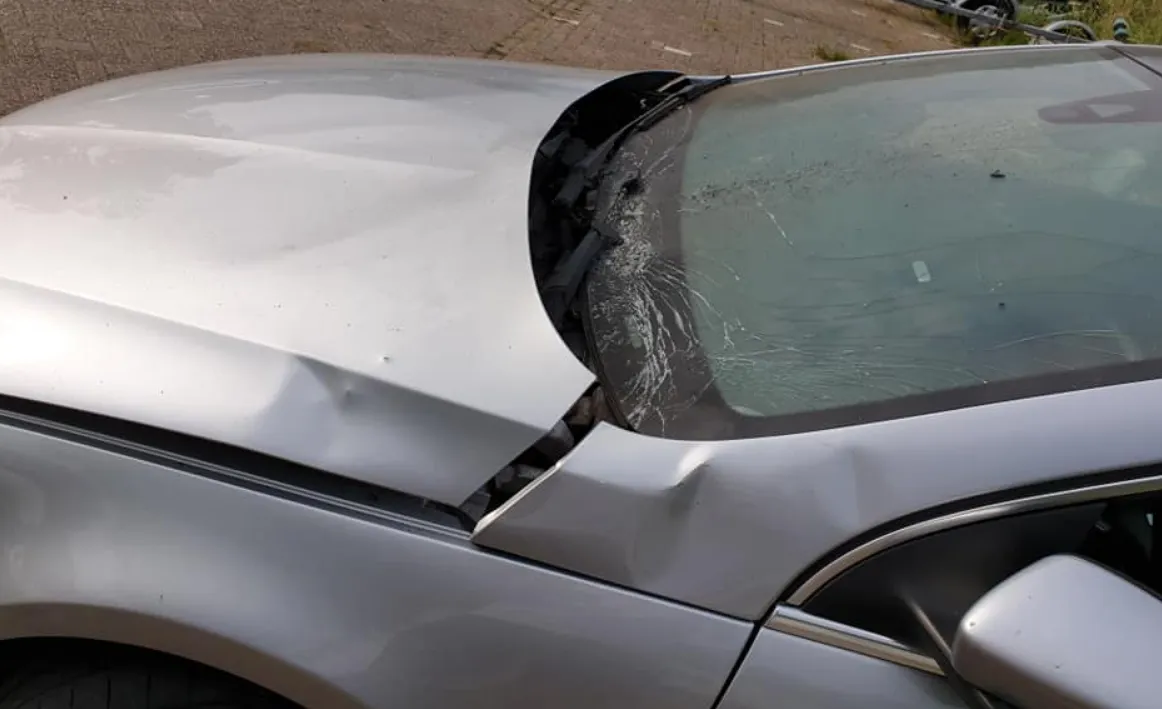 screenshot 20200814 135455