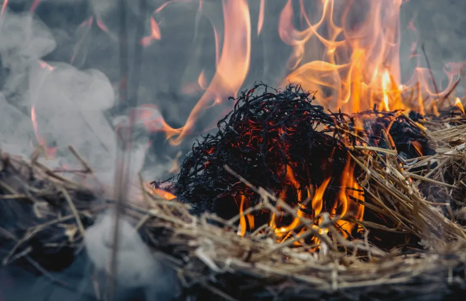 screenshot 20200816 155424