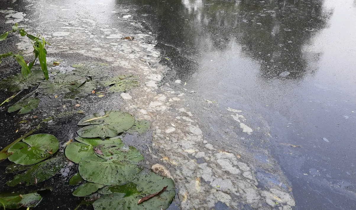 screenshot 20200817 152922